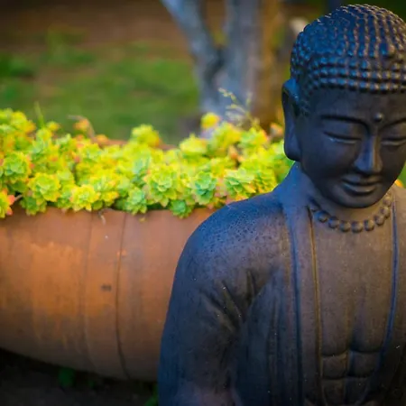 Apartamento Con Piscina Privada Apartamento