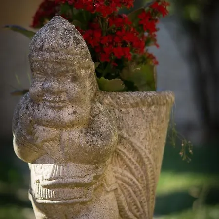 Apartamento Con Piscina Privada Apartamento